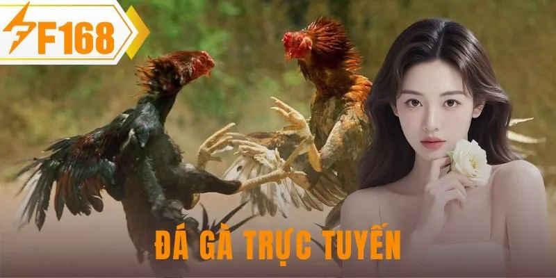 đá gà trực tuyến