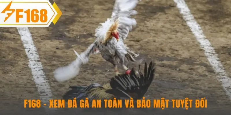 Xem đá gà trực tuyến an toàn với công nghệ mã hóa SSL 128-bit