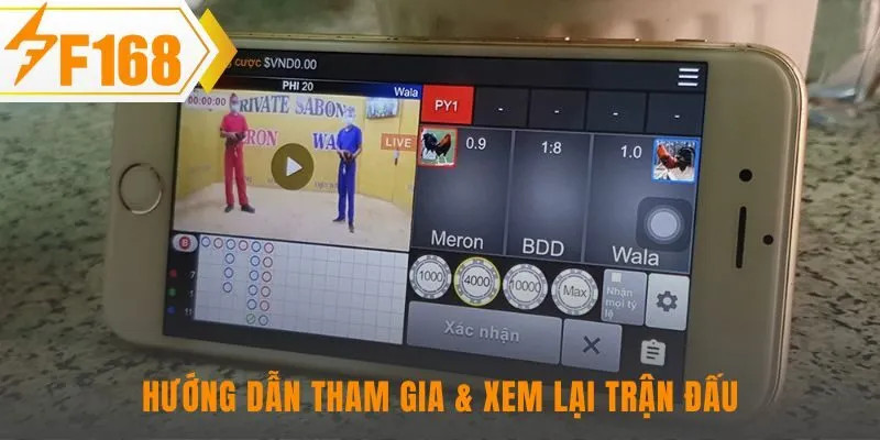 Trải nghiệm đá gà Thomo với link xem trực tiếp Full HD