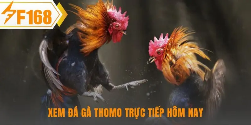 Hướng dẫn tham gia chỉ với 4 bước đăng ký và xem lại