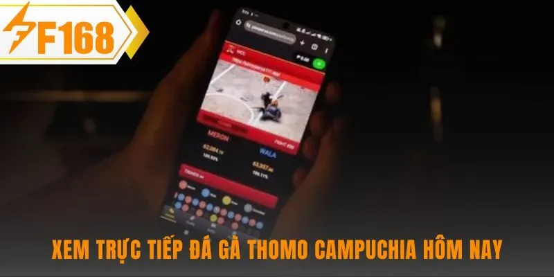 Chất lượng hình ảnh HD và đường truyền ổn định là ưu tiên hàng đầu